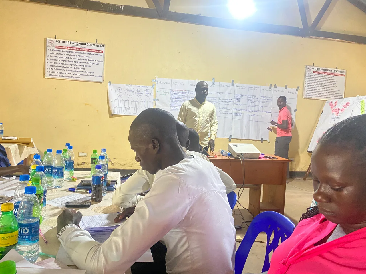 Workshop and programme planning.